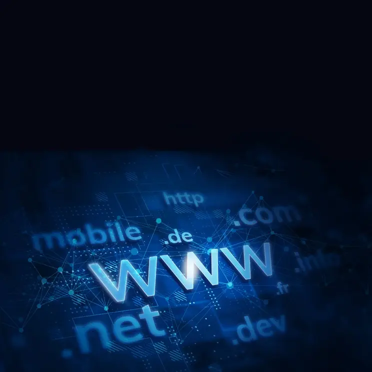 Domain Alan Adı Domain Alan Adı