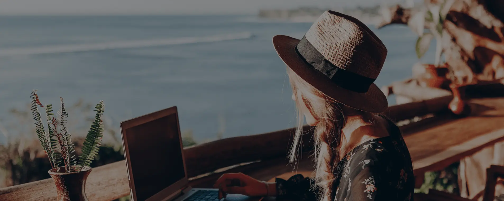 Domain Alan Adı & Web Yazılım Hizmetleri